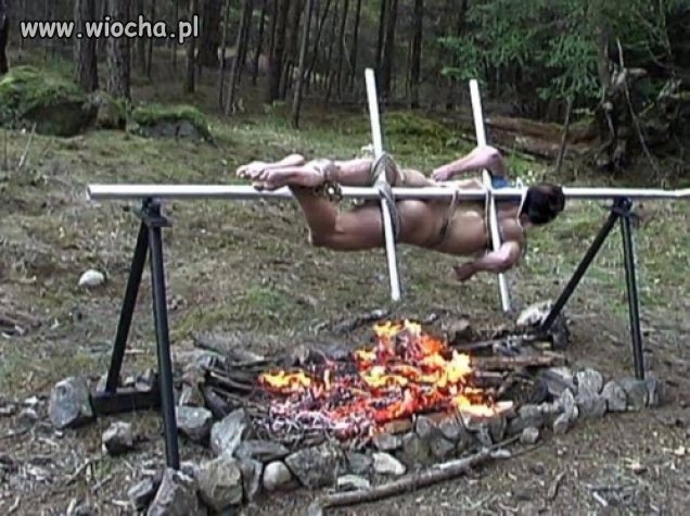 Świąteczny Indyk 
