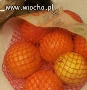 Rosja u nich wszystko możliwe 