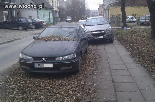 Mam SUV-a i kasę. Mogę wszystko ...
