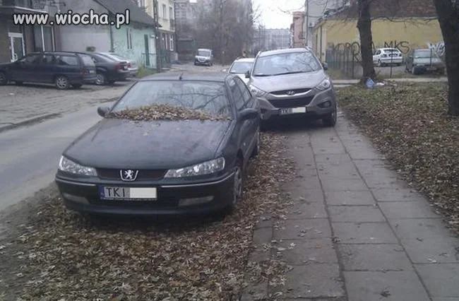 Mam SUV-a i kasę. Mogę wszystko ...