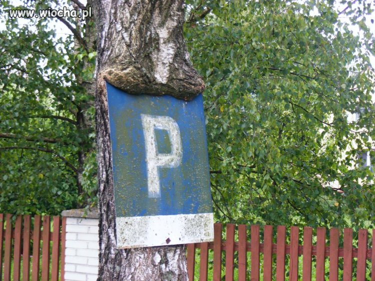 Ekologiczna tabliczka