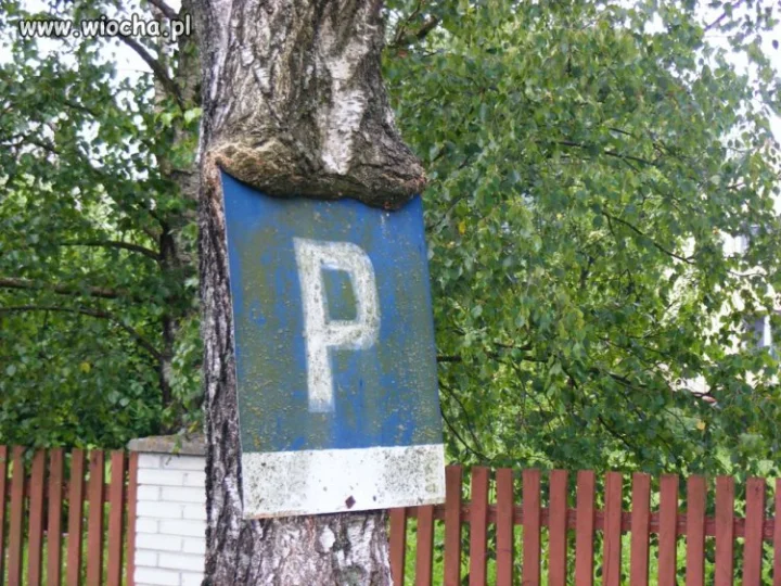 Ekologiczna tabliczka
