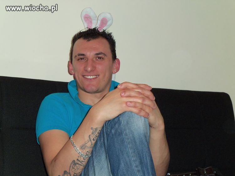 Króliczek playboy