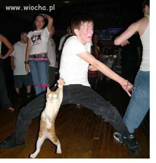 Party hard