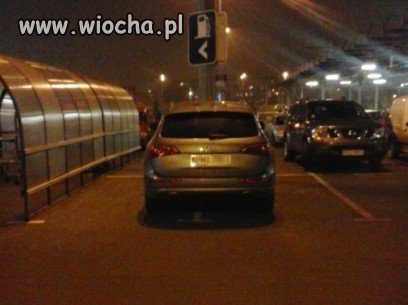 Mistrz parkowania 