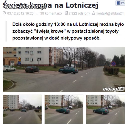 Święta Krowa