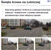 Święta Krowa