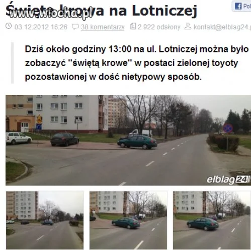Święta Krowa