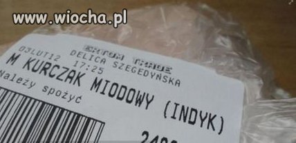 Każdy kurczak jest trochę indykiem..