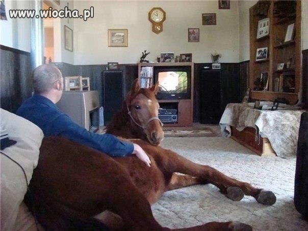 Romantyczny wieczór