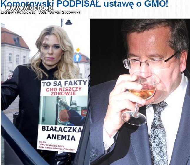 Po prostu brak słów!