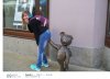 Misio robi krzywde pałce