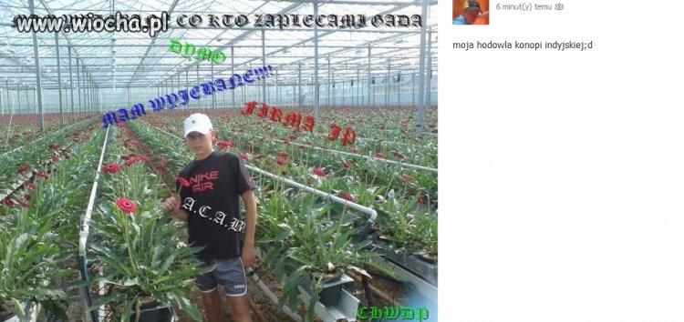 Gangsta style