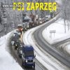 Psi zaprzęg.