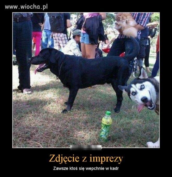 Zdjęcie