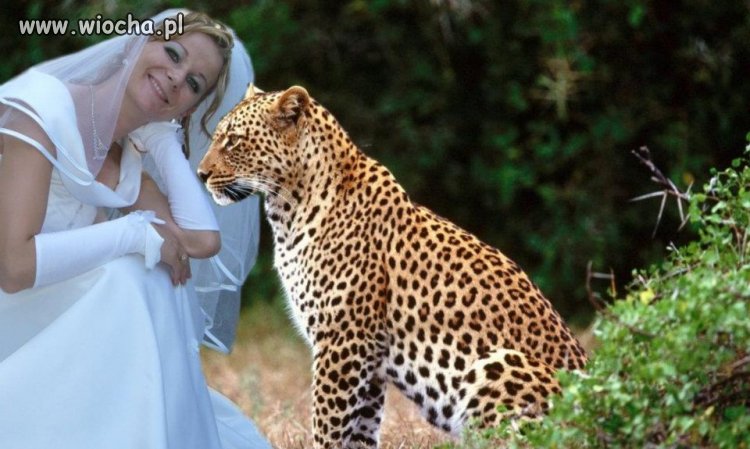 Przerabiać zdjęcia ze ślubu DNO!!!