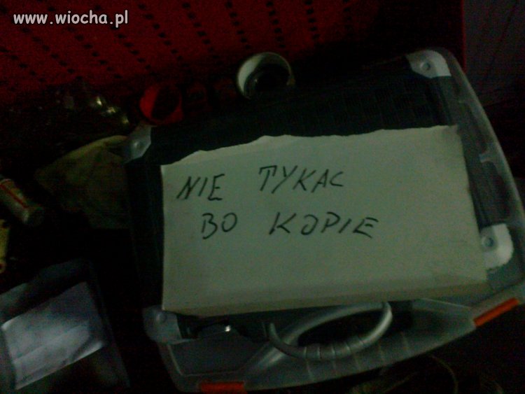 Szef kupił nową walizkę z narzędziami i co ???