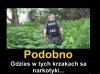 Podobno...
