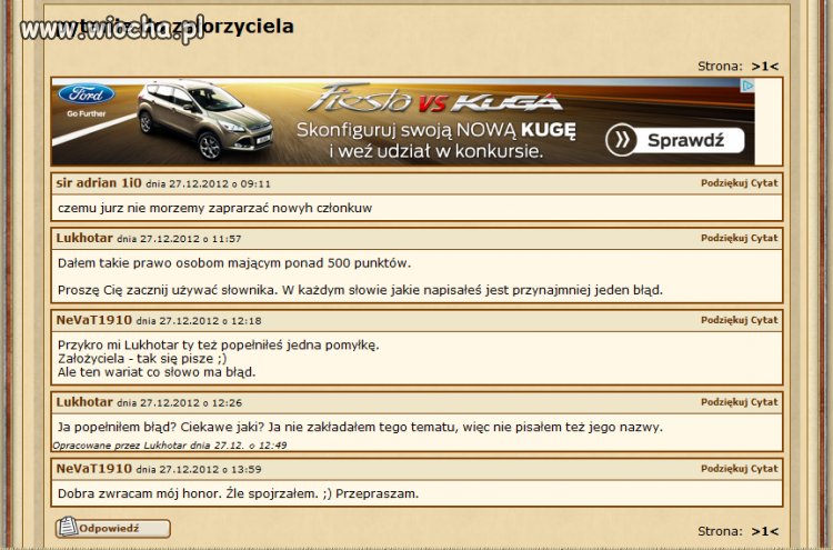 Polscy internauci