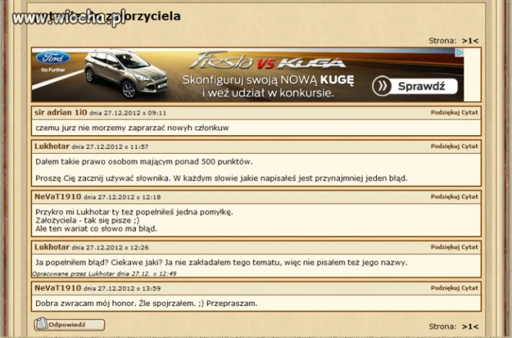 Polscy internauci