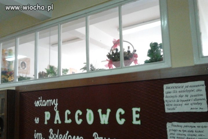 Witamy w "Palcówce"