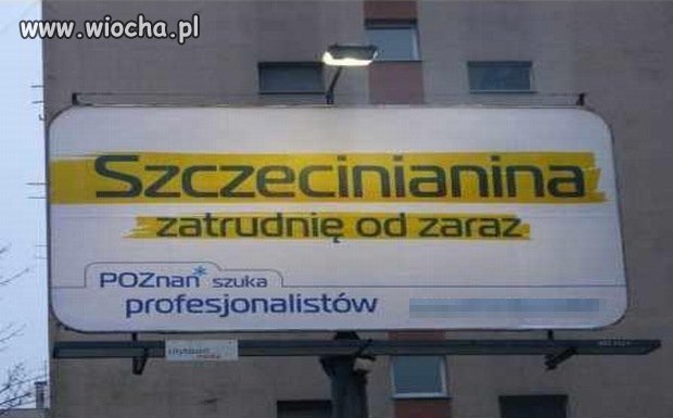Szczecinianina, Wrocławianina, Warszawiaka...