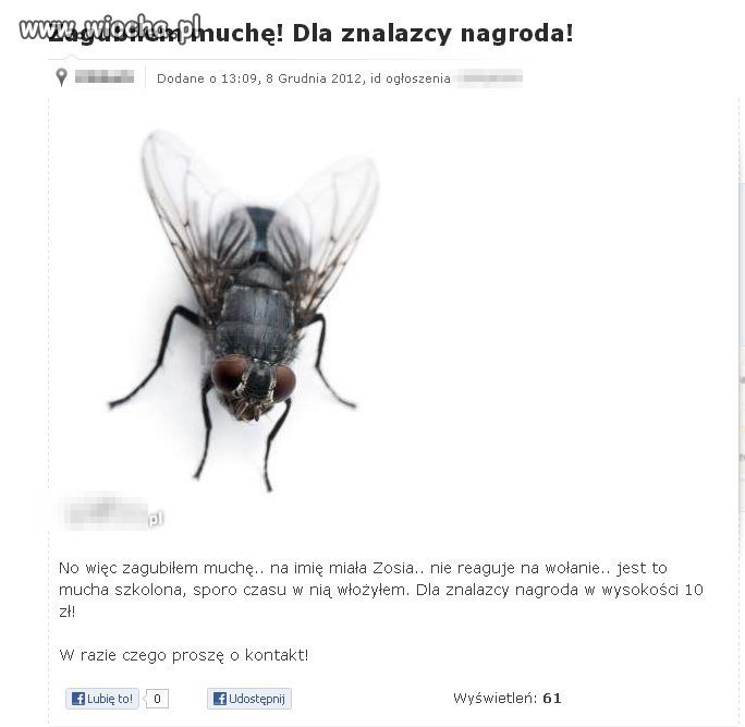 Bez komentarza..