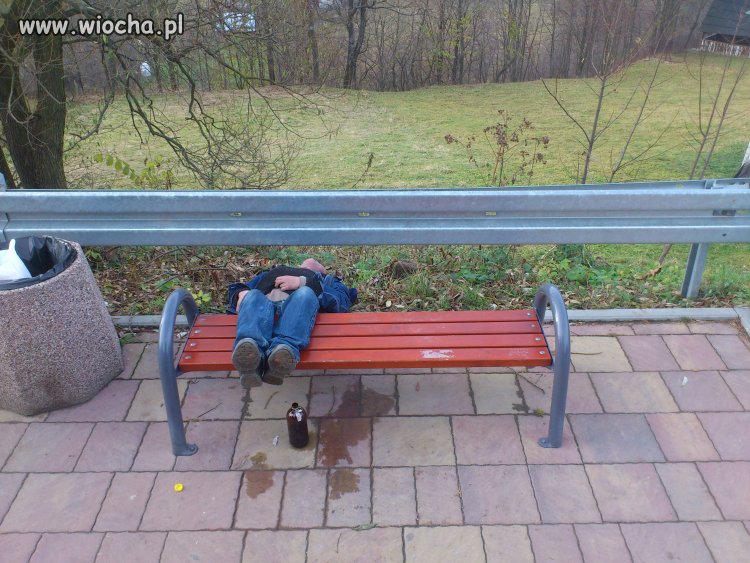 Co za dużo... 