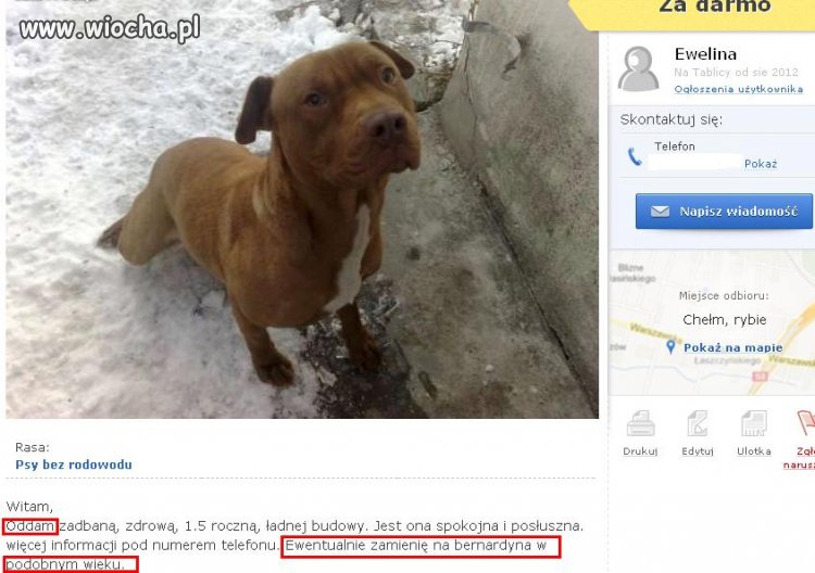 Może zamienimy się psami?... PIES TO NIE ZABAWKA!!