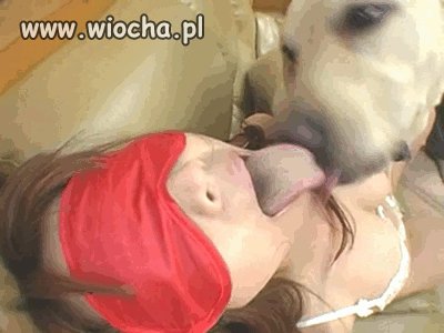 Z języczkiem