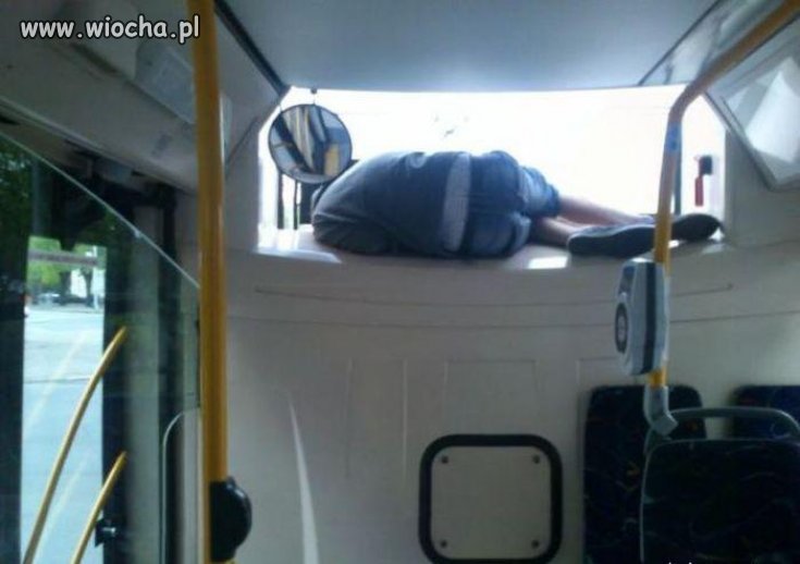 Gimbus wraca z gimbazy...