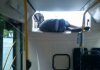 Gimbus wraca z gimbazy...