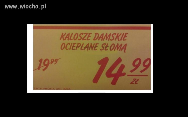 Kalosze damskie ...