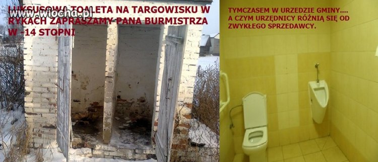 WIOCHA NA TARGOWISKU W RYKACH WOJ. LUBELSKIE