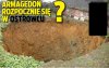 Największa Wiocha Stulecia?