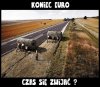 Koniec Euro