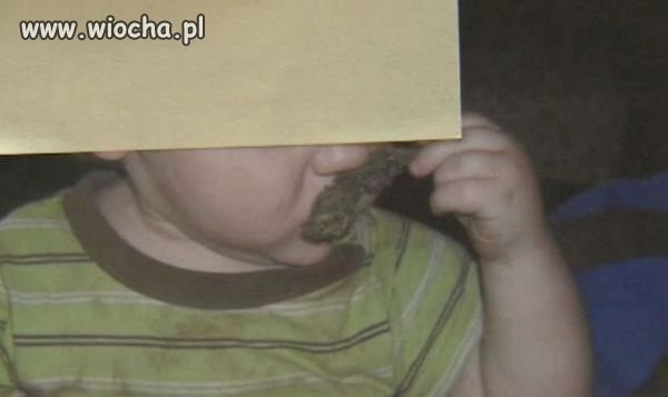 Gratulacje dla mądrych rodziców