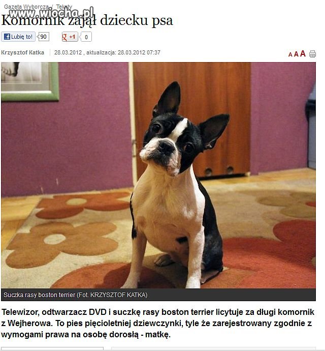 Komornik zajął dziecku PSA !!!