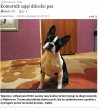 Komornik zajął dziecku PSA !!!