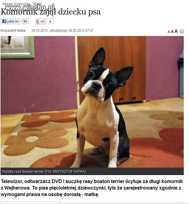 Komornik zajął dziecku PSA !!!