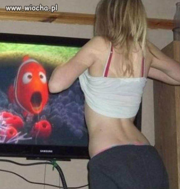 Jaki karp 