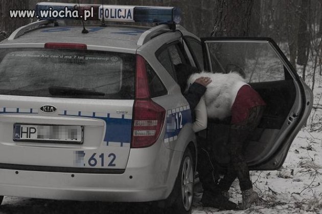 No tak oni to mogą