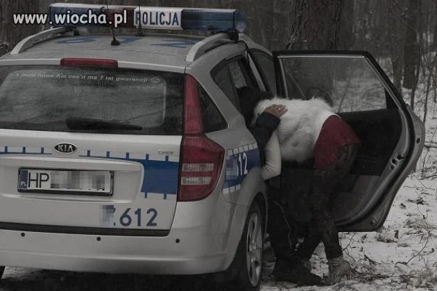No tak oni to mogą