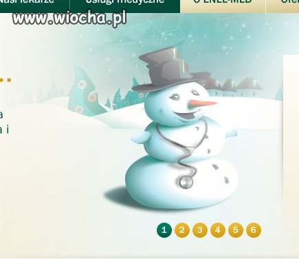 Tak wygląda poziom wiedzy większości