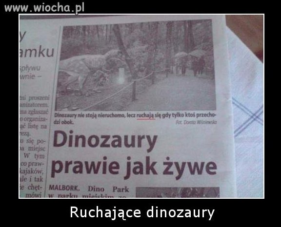 Byki w druku