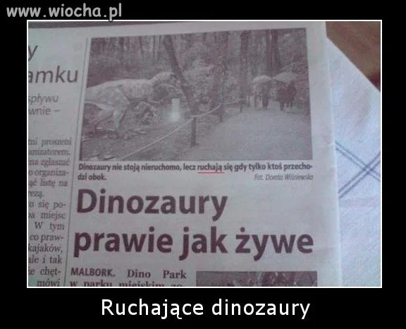 Byki w druku