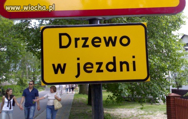 Tylko u nas...