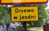 Tylko u nas...