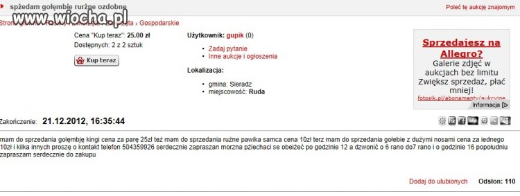 Specjalista od Gołęmbi