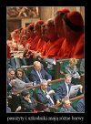 Biedny kraj, jak nie stonka to czerwonka